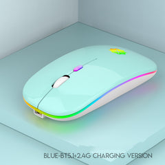 Silent PC/Laptop Mouse