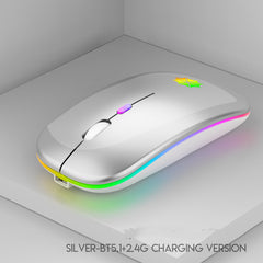 Silent PC/Laptop Mouse