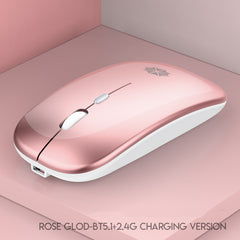 Silent PC/Laptop Mouse