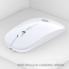 Silent PC/Laptop Mouse