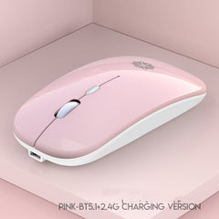 Silent PC/Laptop Mouse