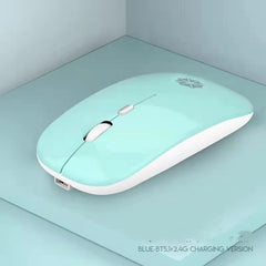 Silent PC/Laptop Mouse